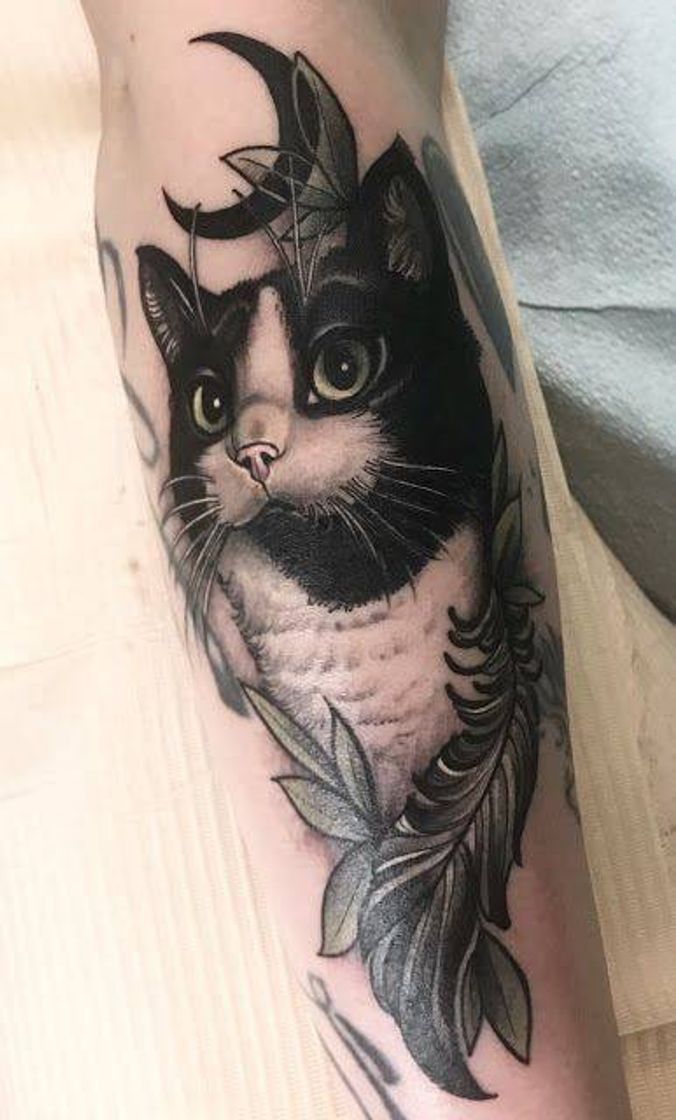 Tatuagem feminina de Gato