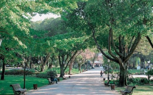 Jardim da Estrela