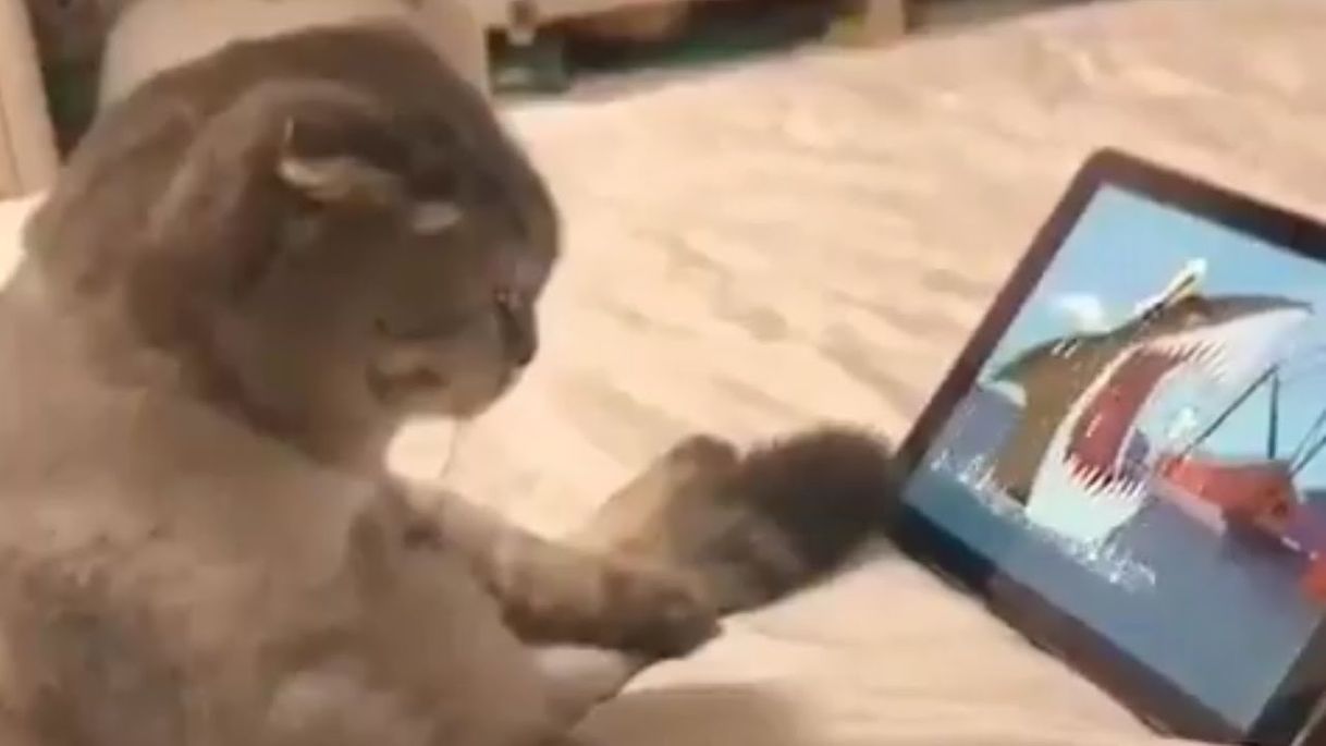 UNUSUAL MEMES COMPILATION V82 - YouTube