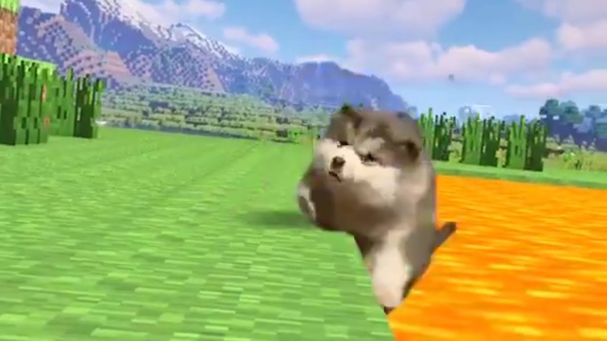 UNUSUAL MEMES COMPILATION V83 - YouTube