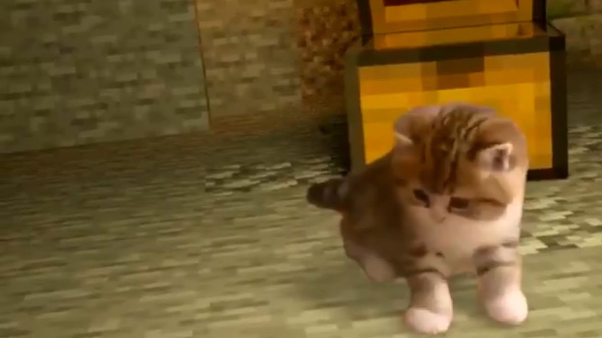 UNUSUAL MEMES COMPILATION V85 - YouTube