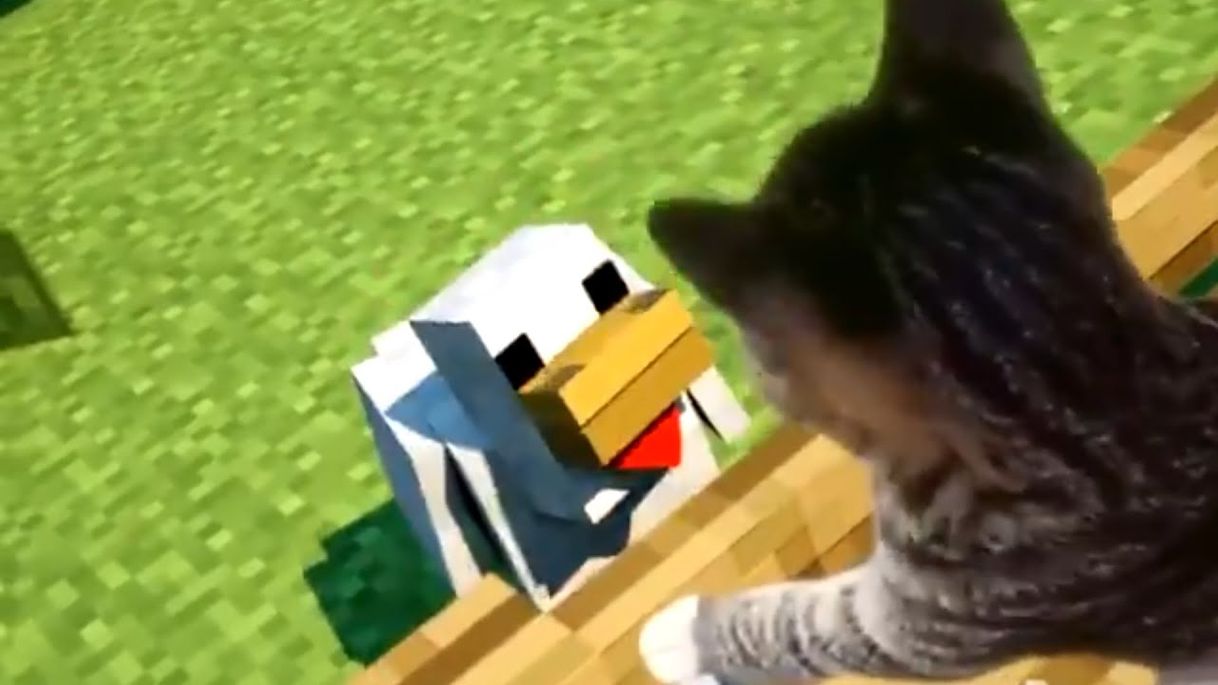 UNUSUAL MEMES COMPILATION V87 - YouTube