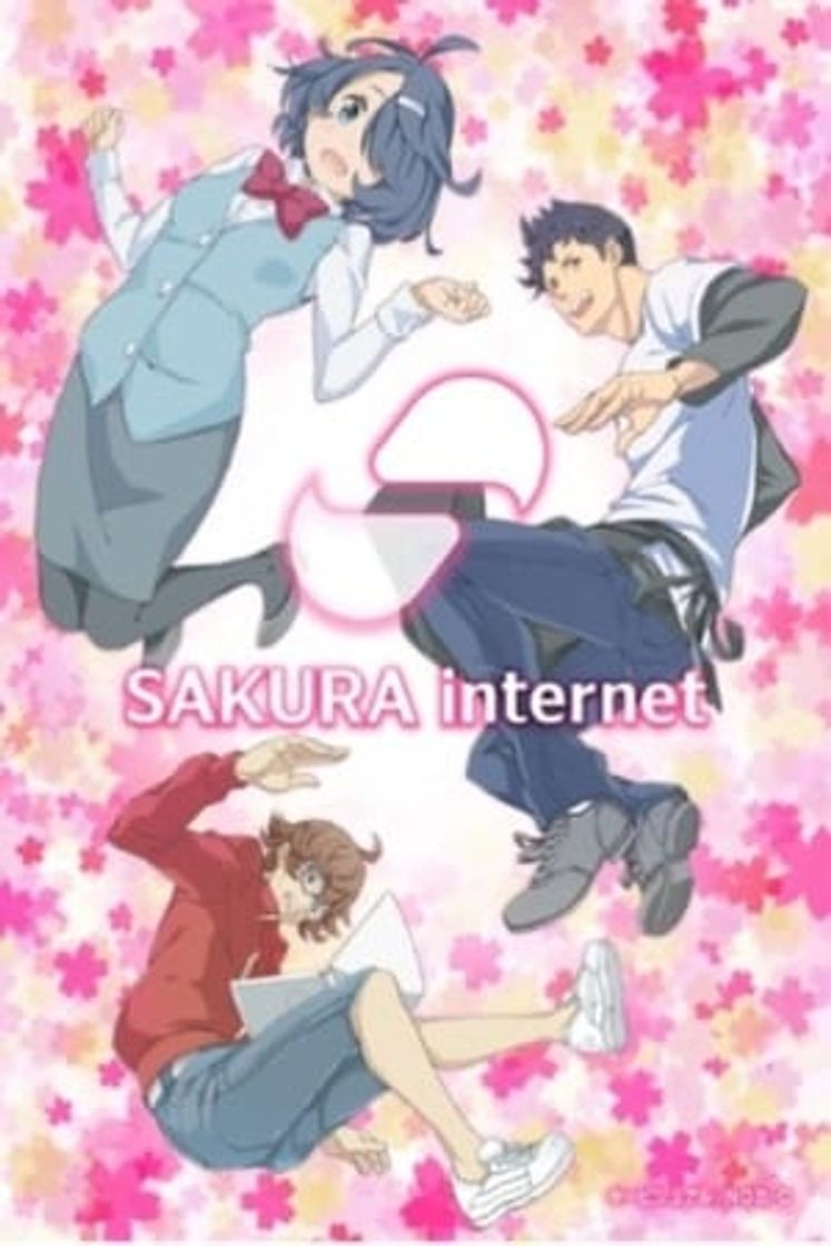 Serie SAKURA internet