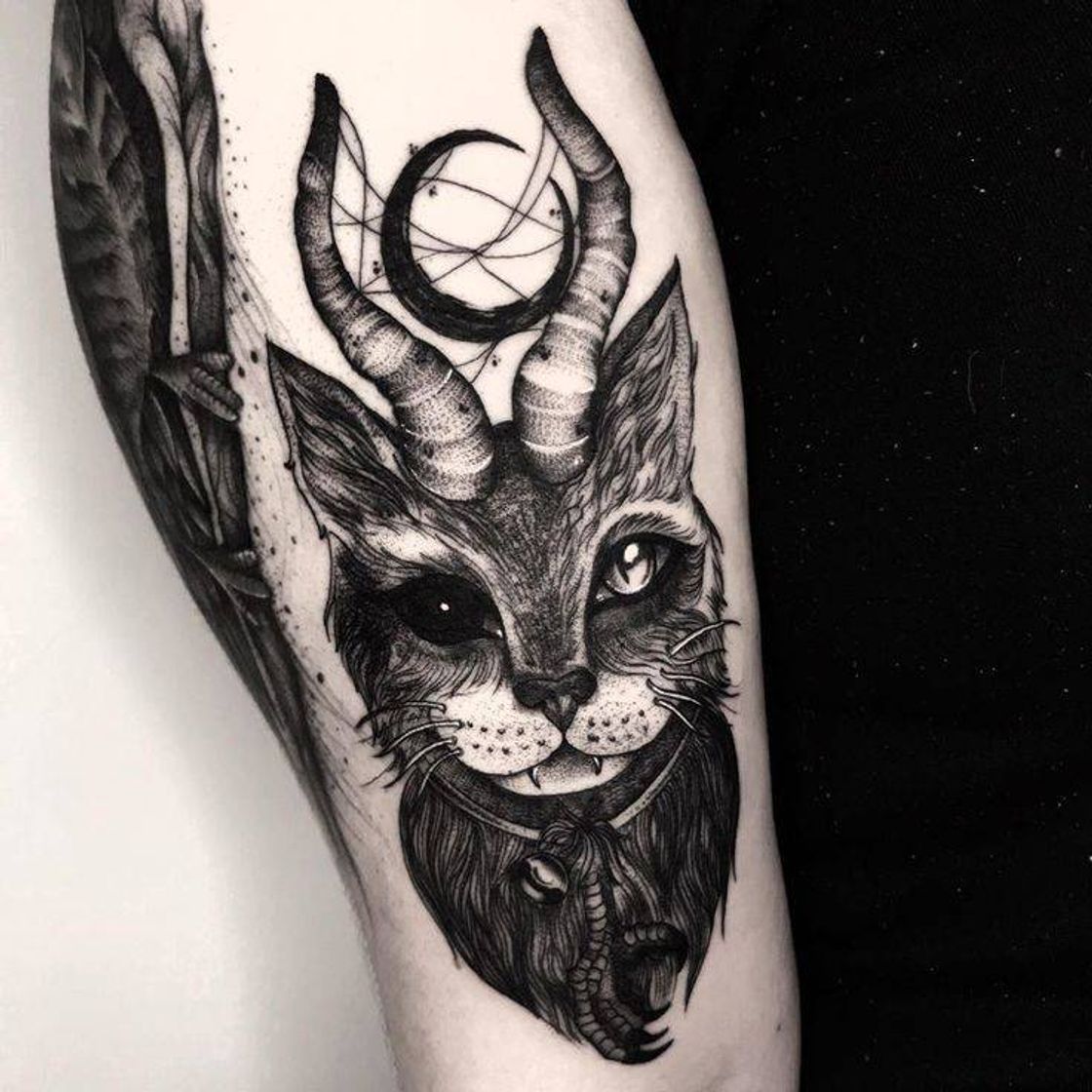 Social Cat tattoo 