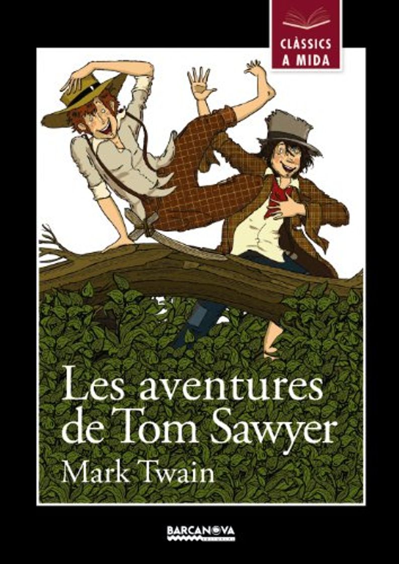 Libro Les aventures de Tom Sawyer