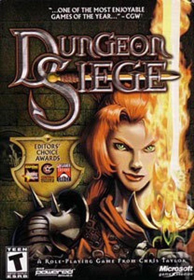 Videogames Dungeon Siege 