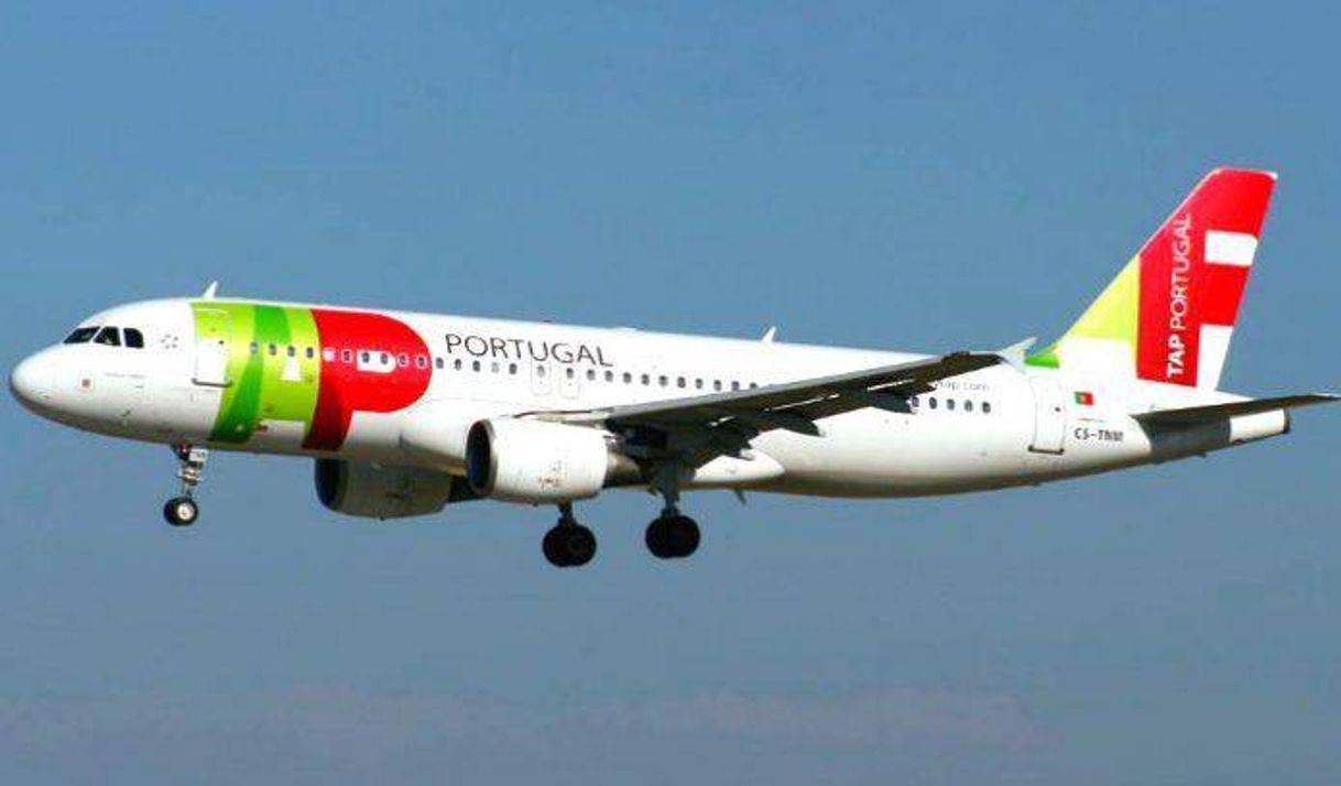 Moda Avião Tap