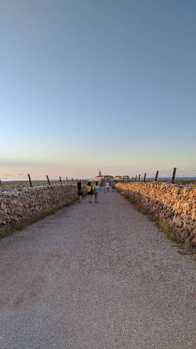 Lugar Faro Punta Nati