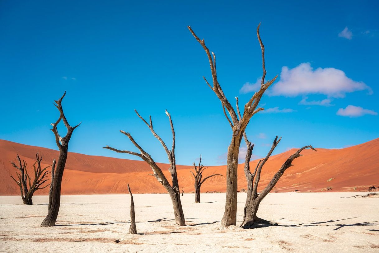 Lugar Dead Vlei