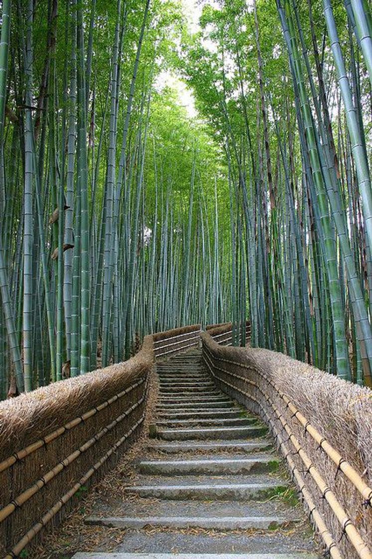 Lugar Arashiyama