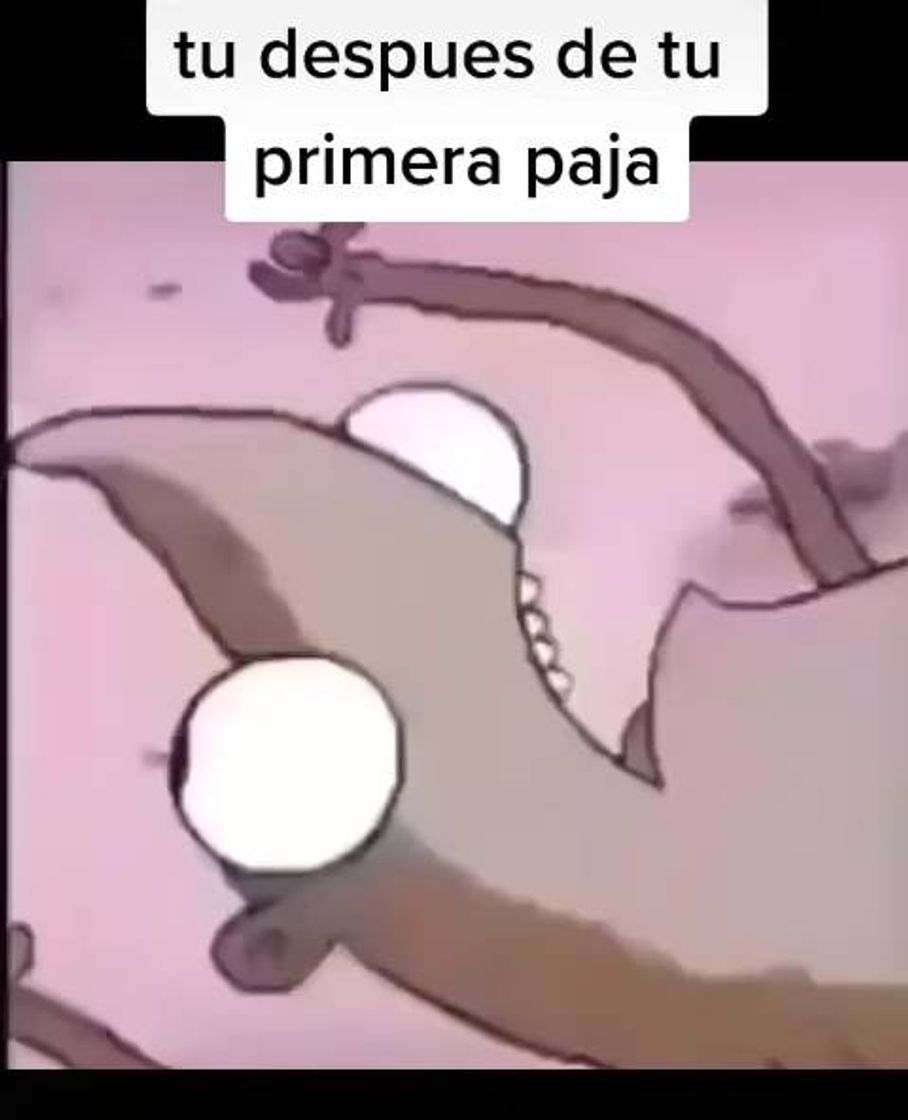 Fashion Memes