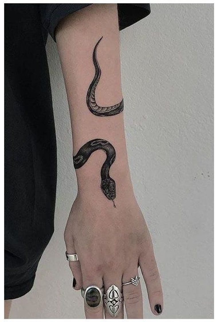 Fashion Tatuagens cobra blackwork