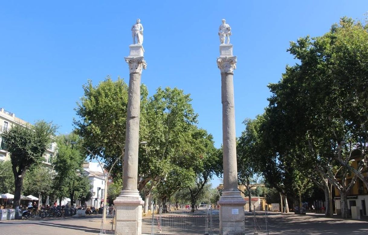 Place Alameda de Hércules