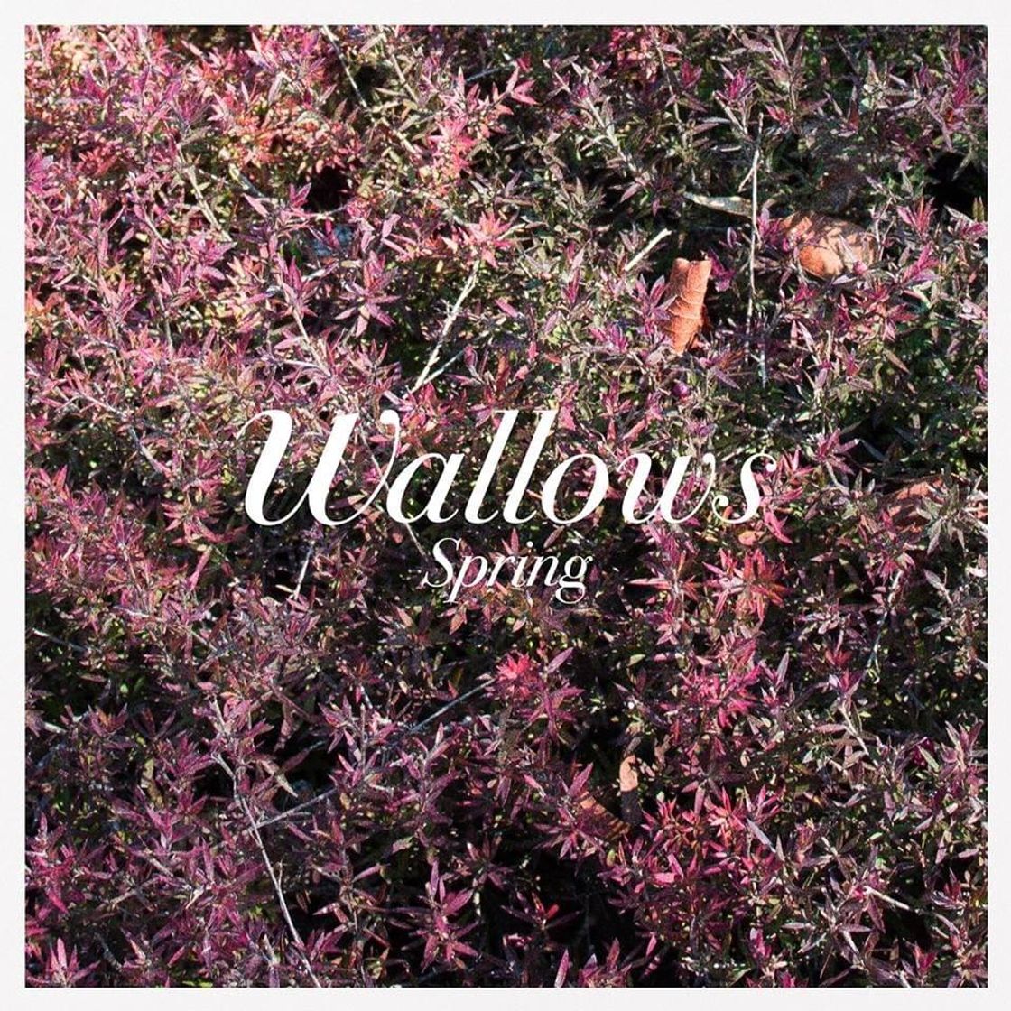 Music Wallows - These Days