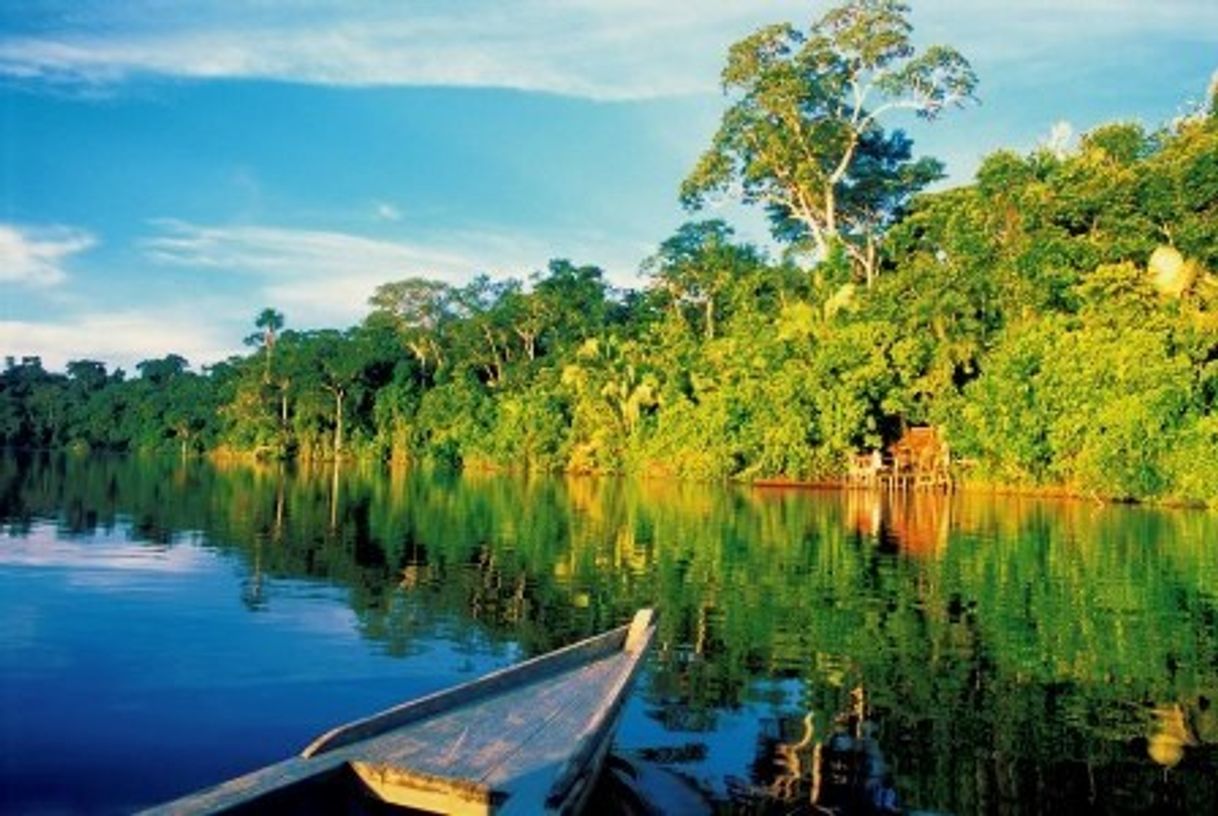 Place Parque Nacional del Manu