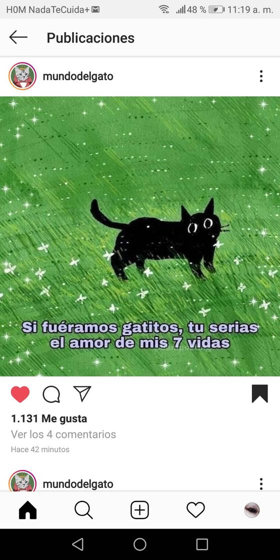 Fashion Memes de gatitos pa dedicar