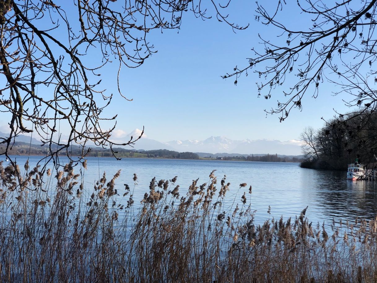 Places Greifensee