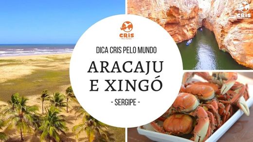 O que fazer em Sergipe - YouTube