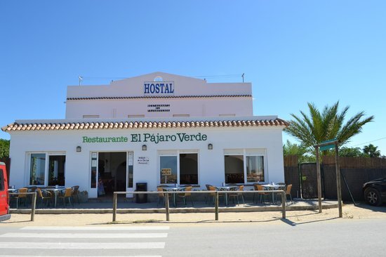 Lugar Hostal El Pájaro Verde y Restaurante