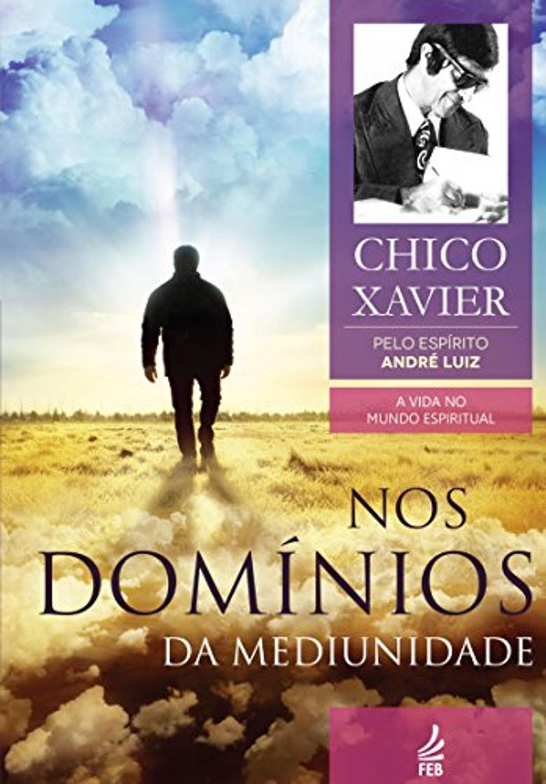 Libros Nos Domínios da Mediunidade