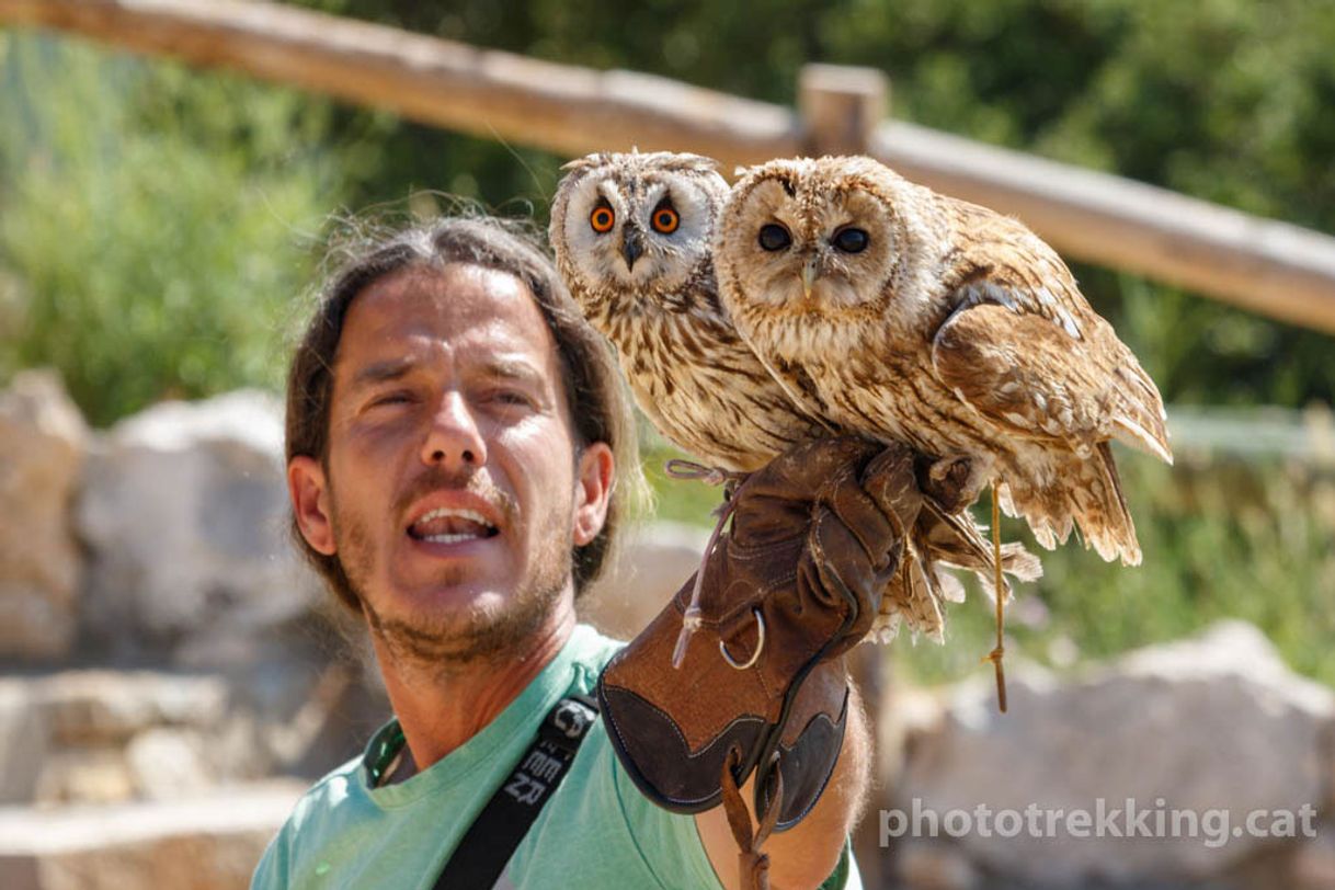 Places Zoo del Pirineu