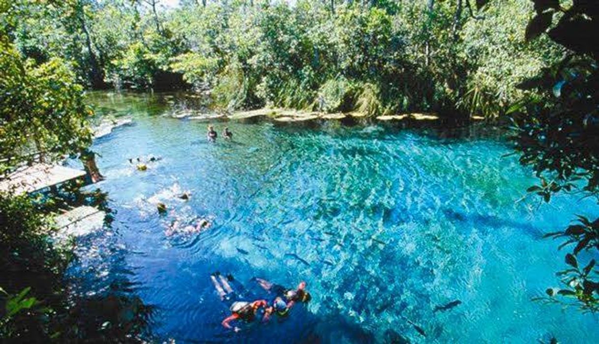 Lugar Mato Grosso