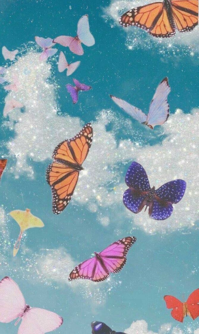 Social Butterfly Wallpaper