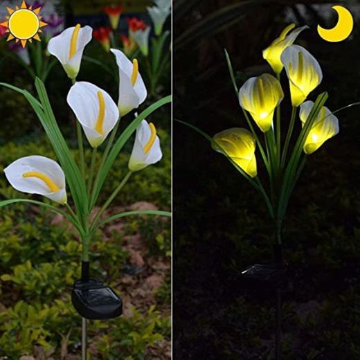 YiGo luces solares para jardín al aire libre