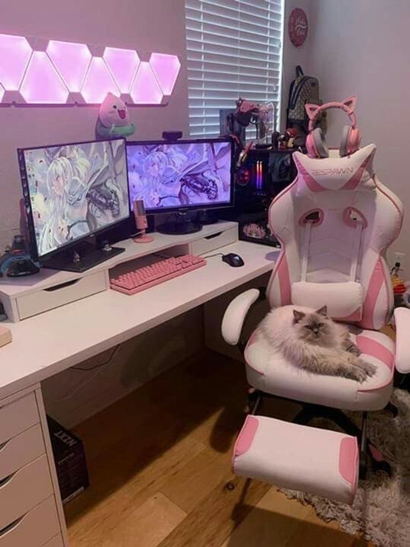 Fashion Setup gamer 