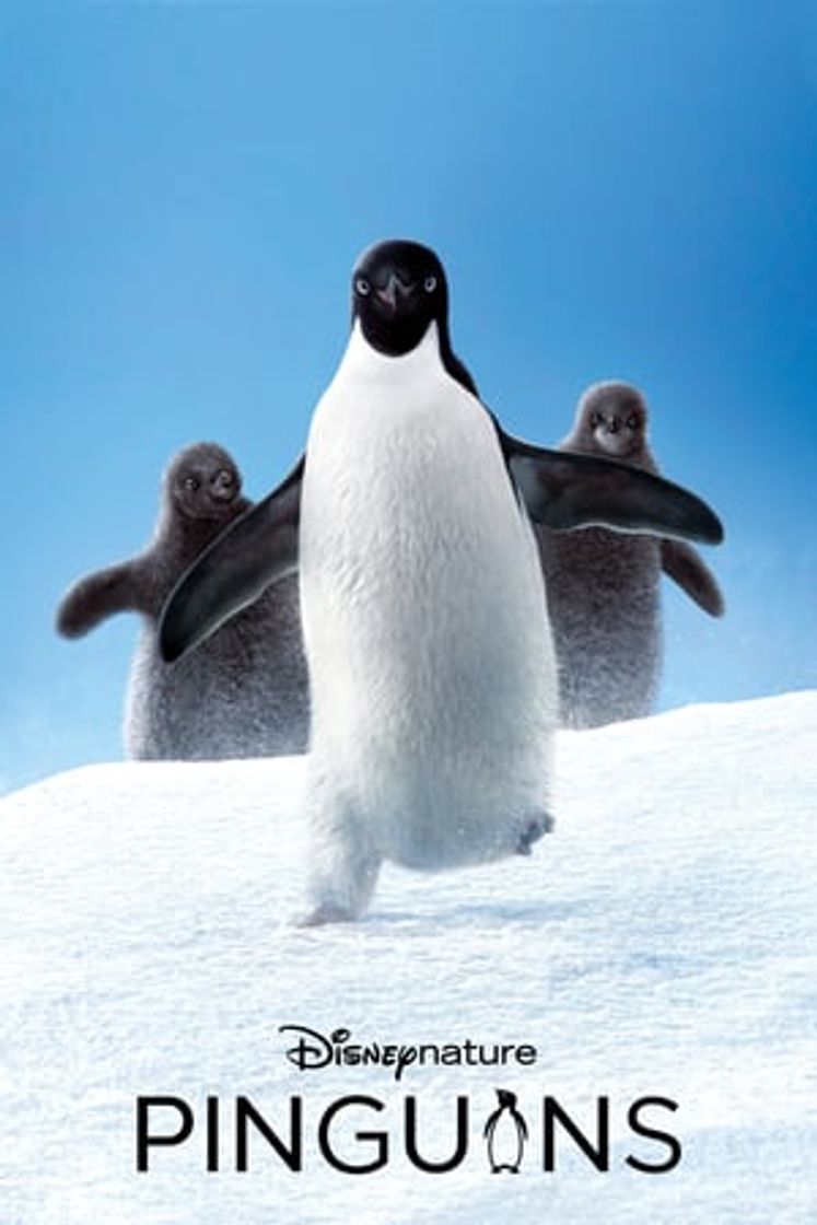 Película Los pingüinos