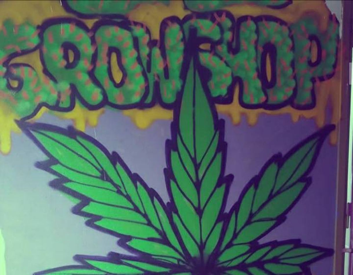 Fashion OG GrowShop