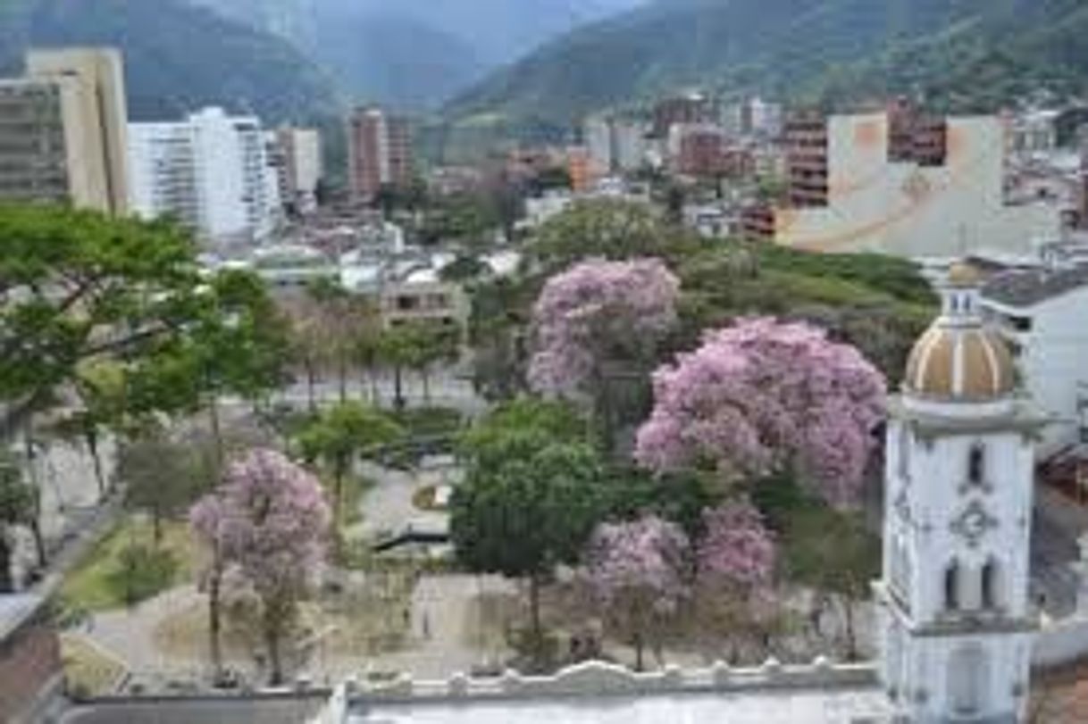 Place Ibagué