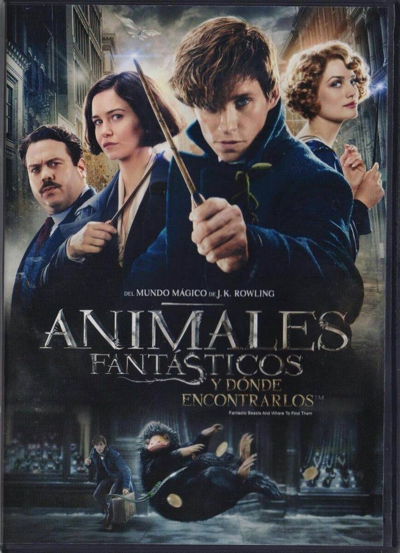 Movie Animales Fantásticos y dónde encontrarlos.