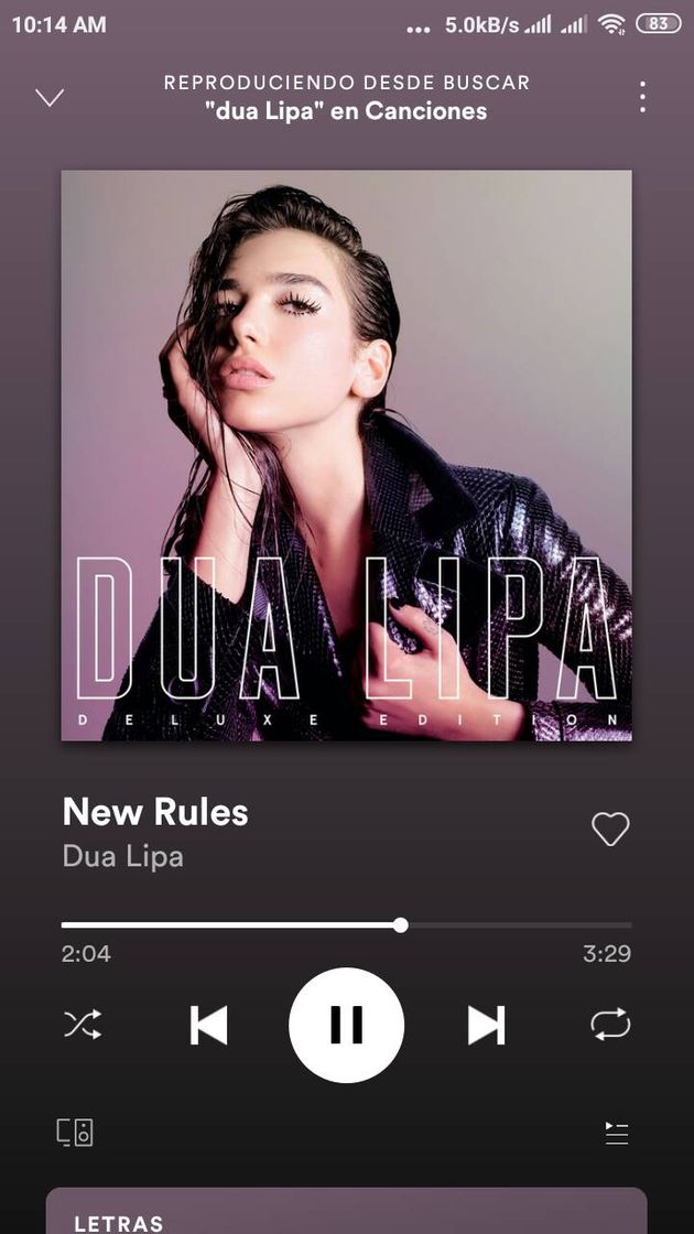 Canción New Rules - Dua Lipa