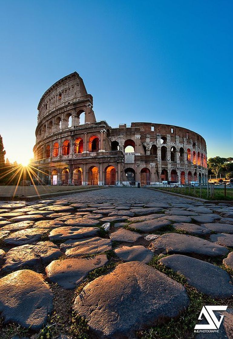 Lugar Coliseo de Roma