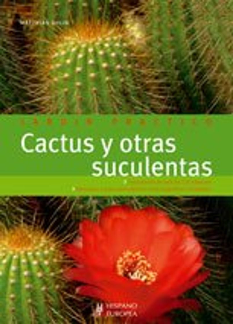 Book Cactus y otras suculentas