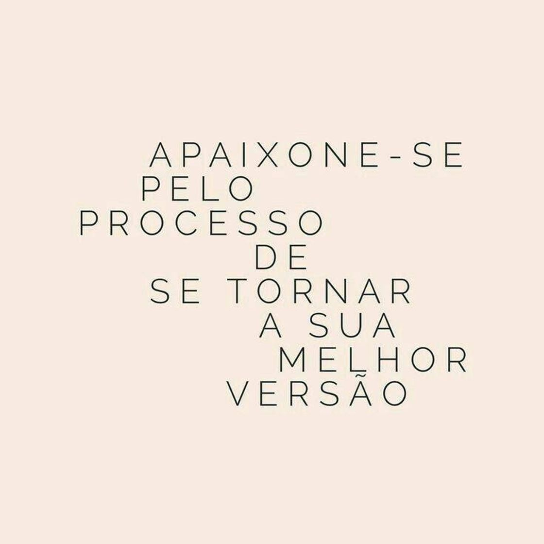 Social ✨