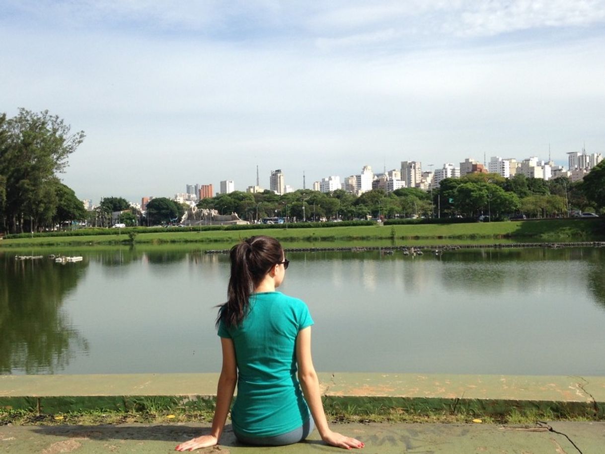 Place Parque Ibirapuera