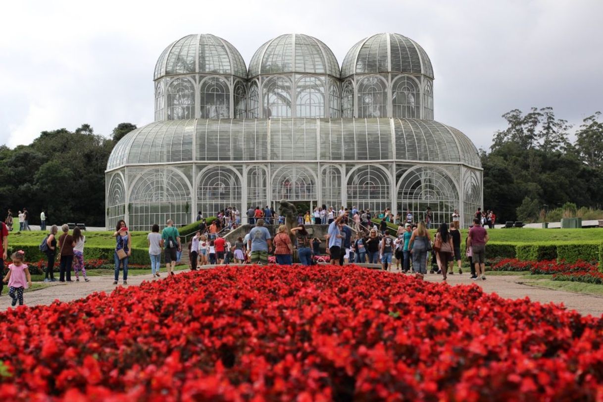 Lugar Jardim botânico 