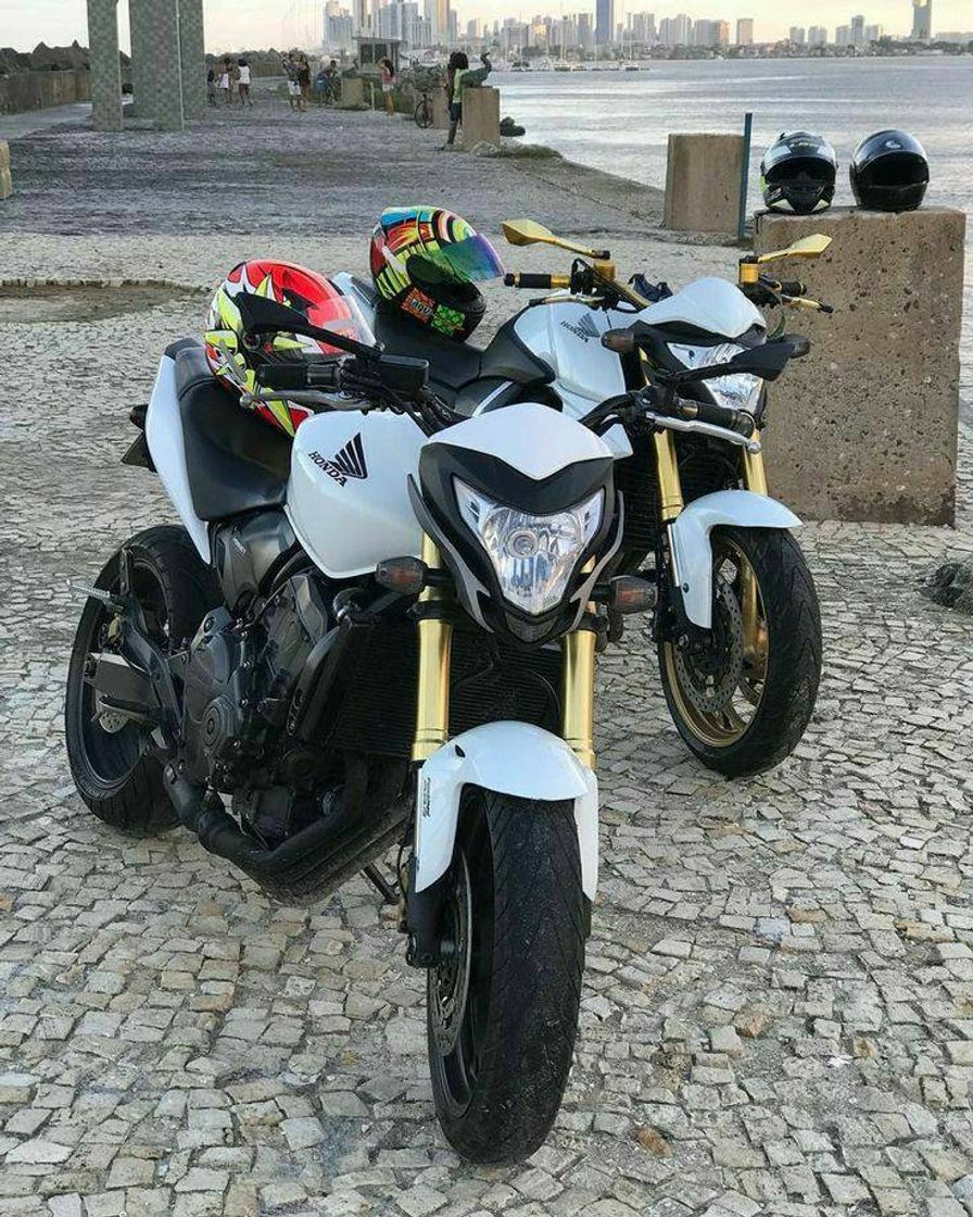 Moda Hornet❤😍