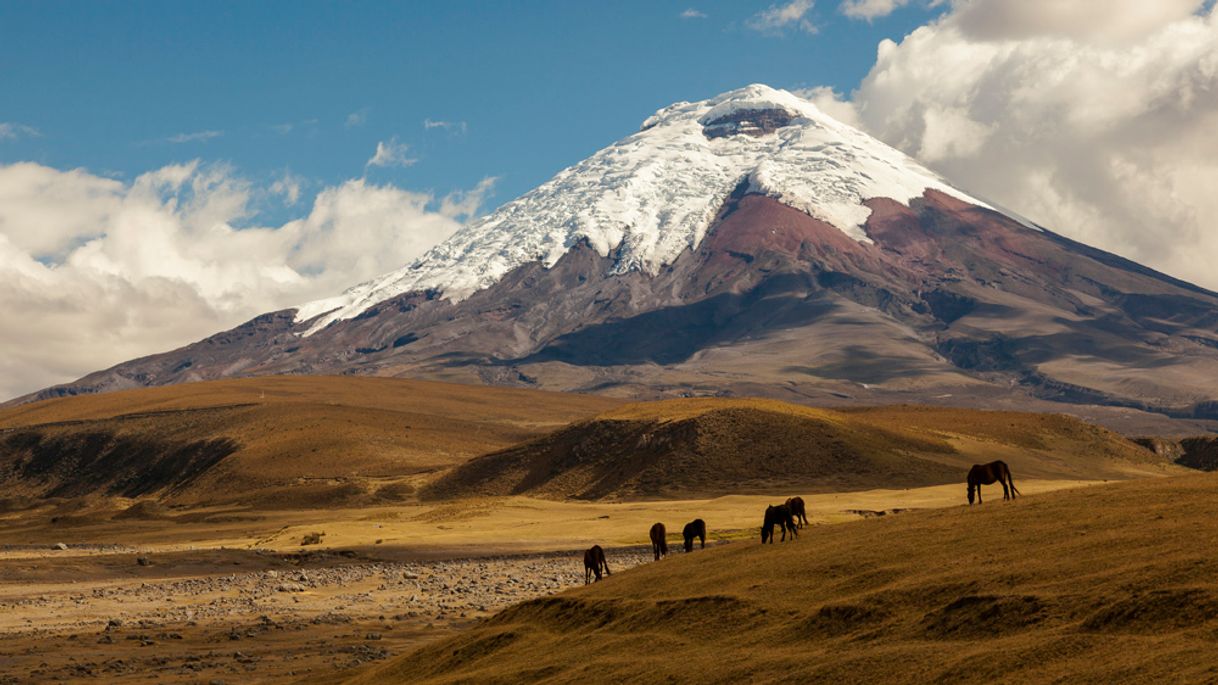 Place Cotopaxi