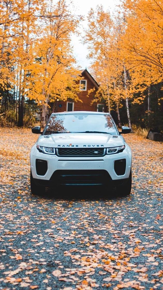 Moda Tem que respeitar - Range Rover Evoque 