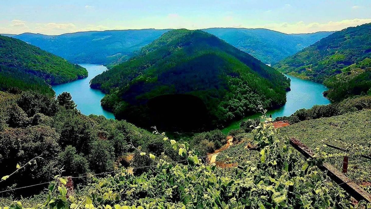 Ribeira Sacra, turismo, rutas e viño, DO Ribeira Sacra