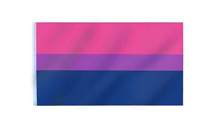 Producto Bandera Bisexual