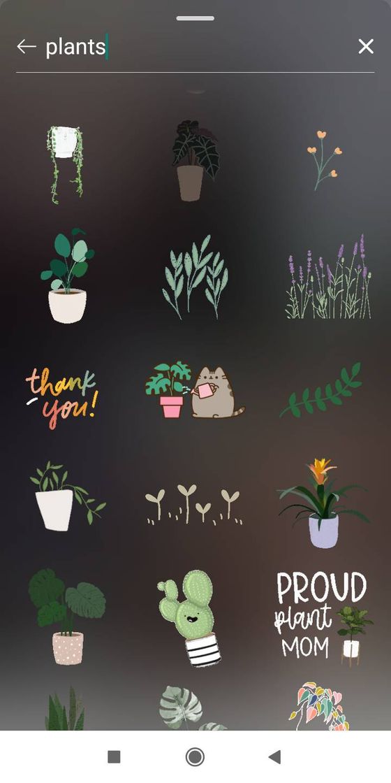 Fashion PLANTS