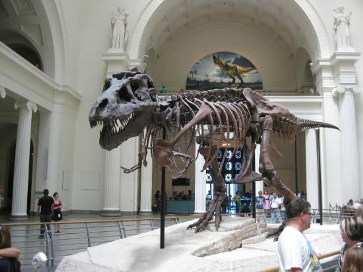 Field Museum