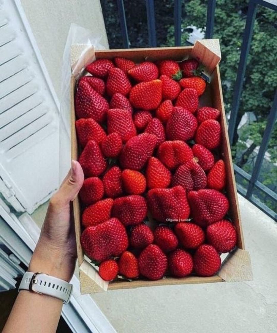 Restaurantes Iae quem gosta?🍓