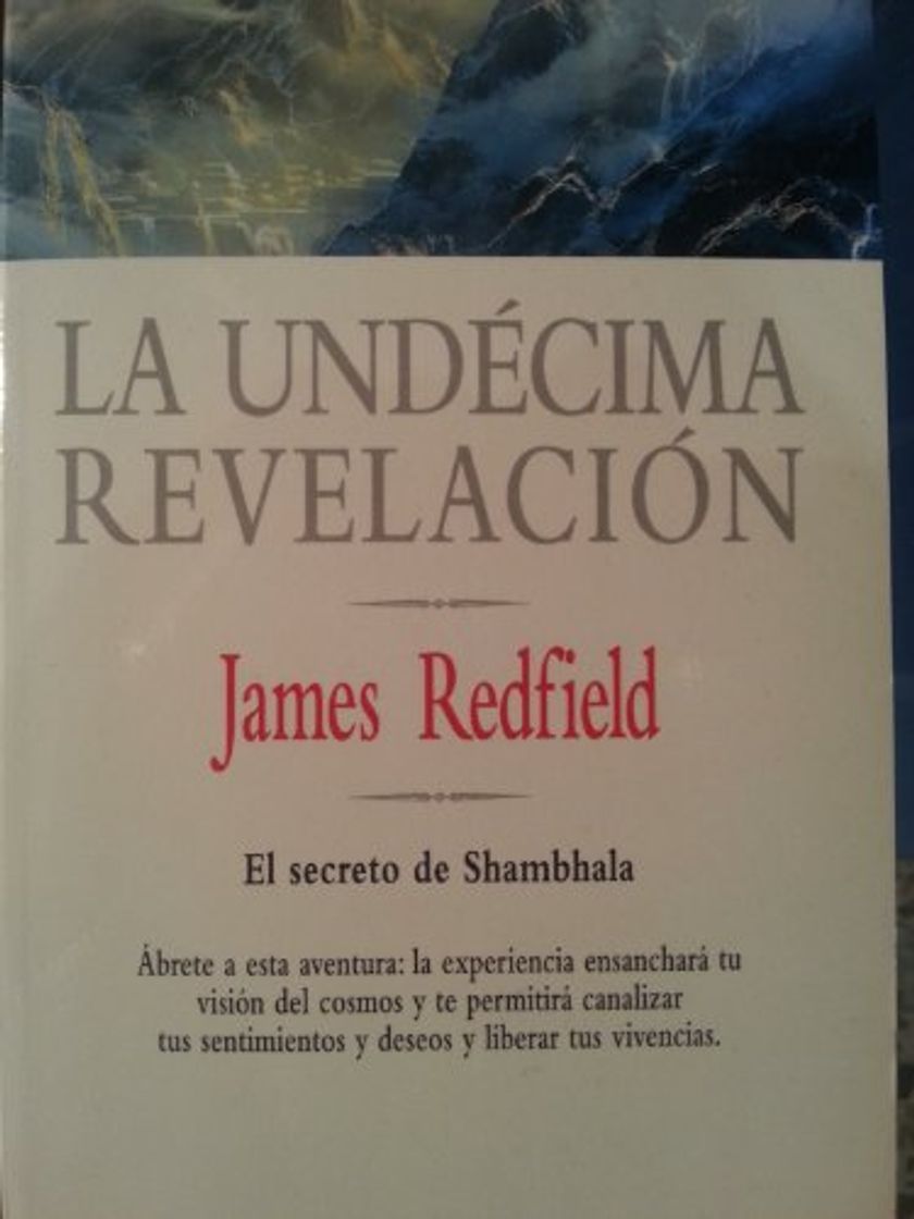 Book La undecima revelacion