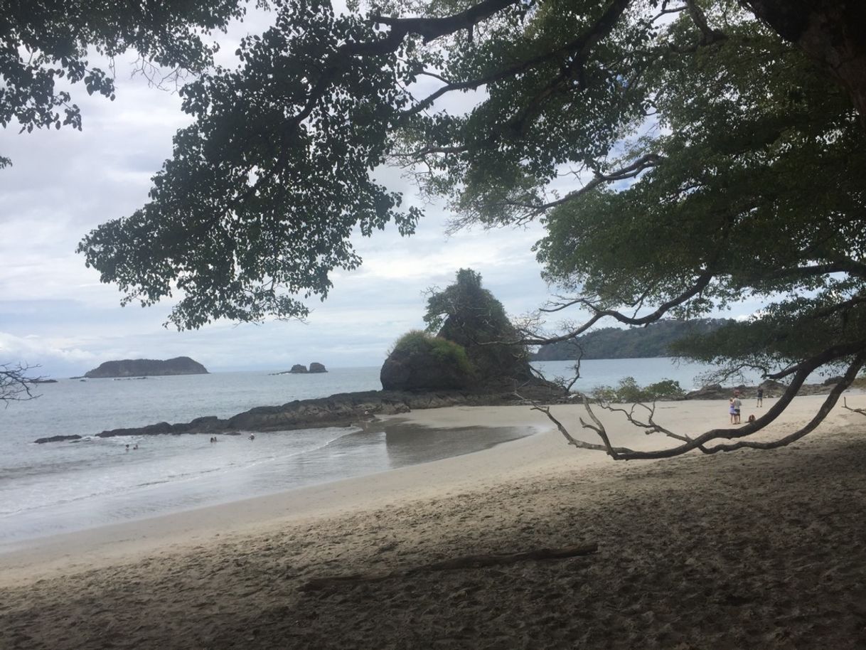 Lugar Manuel Antonio National Park