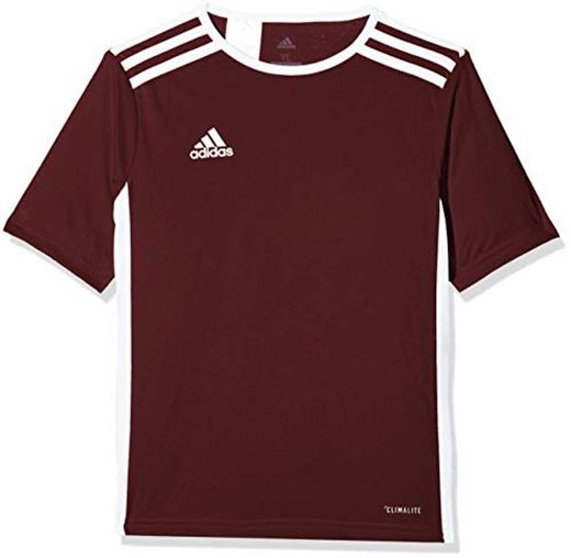 adidas Entrada 18 JSY Jersey de Fútbol de Manga Corta, Hombre, Marrón